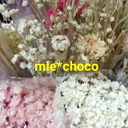 mie*choco