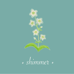 80shimmer08