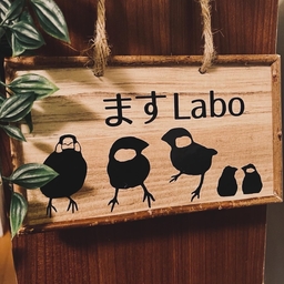 ますLabo  送料無料