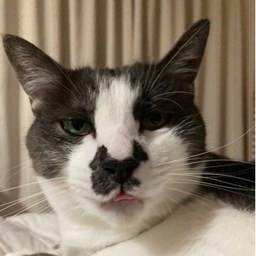SAT