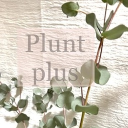 ゜＊Plant plus＊゜