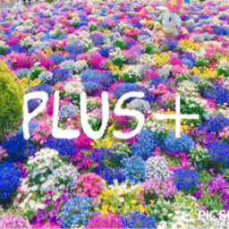 plus＋