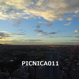 picnica011
