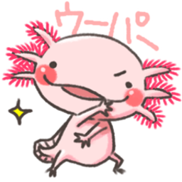デコリン