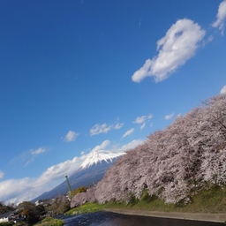 shi-chan