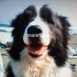 maremare