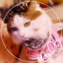 mafuymn
