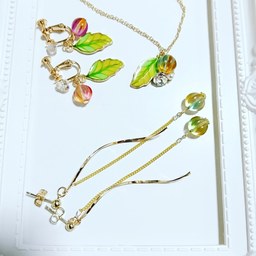 enmi_accessory