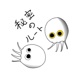 秘密のルート