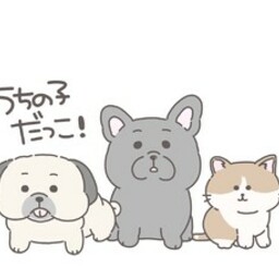 うちの子だっこ！※年末年始の内容必読