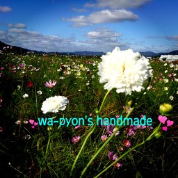 wa-pyon