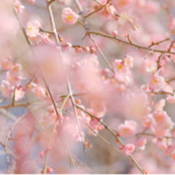 arty0804