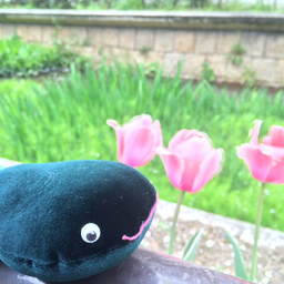 てづくり工房 minami