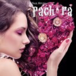 pachira1103