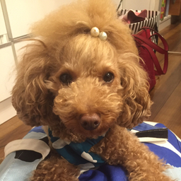 ruban de betty