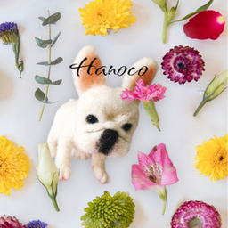hanoco