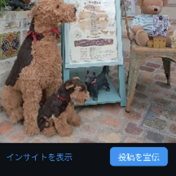 ポルトボヌール