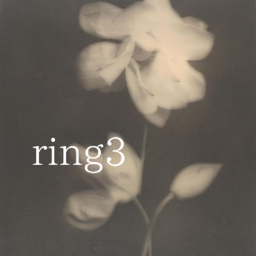 ring3