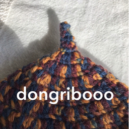 dongribooo