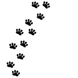 purimaro0328