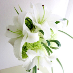 lily
