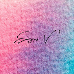 Euryops.v