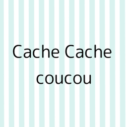 Cache Cache