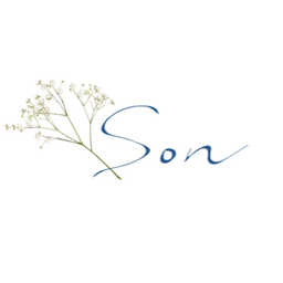 son-3-n