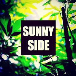 SUNNY🌴SIDE