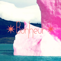 ✴︎Bonheur✴︎