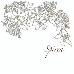 spirea26