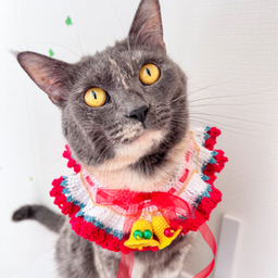 ❧✿華猫の里✿☙