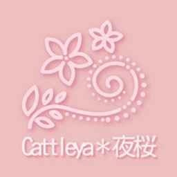 Cattleya＊夜桜