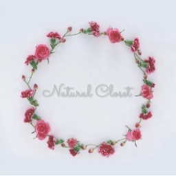  Natural Closet.