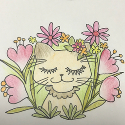 ✻hananeko✻