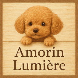Amorin Lumière
