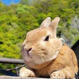 MA〜MA工房