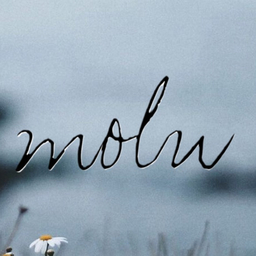 moln2022