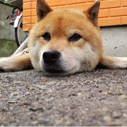 kazukoooode