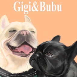 gigibubu