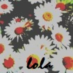 ｌｏｌａ