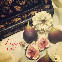 Figgue..