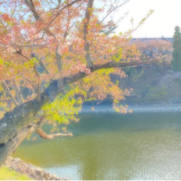 michi-bata