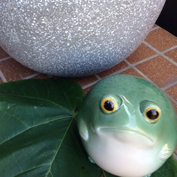 がま屋がま助