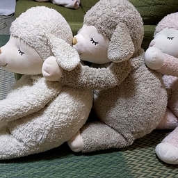 ゆつき