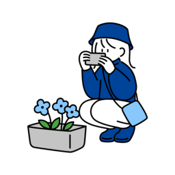 みみこ。
