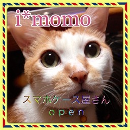 i*momo
