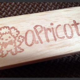 apricot125