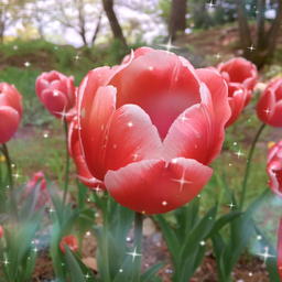 ❁✿✾Flowerメイ