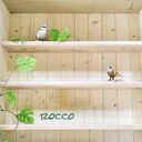 roccor